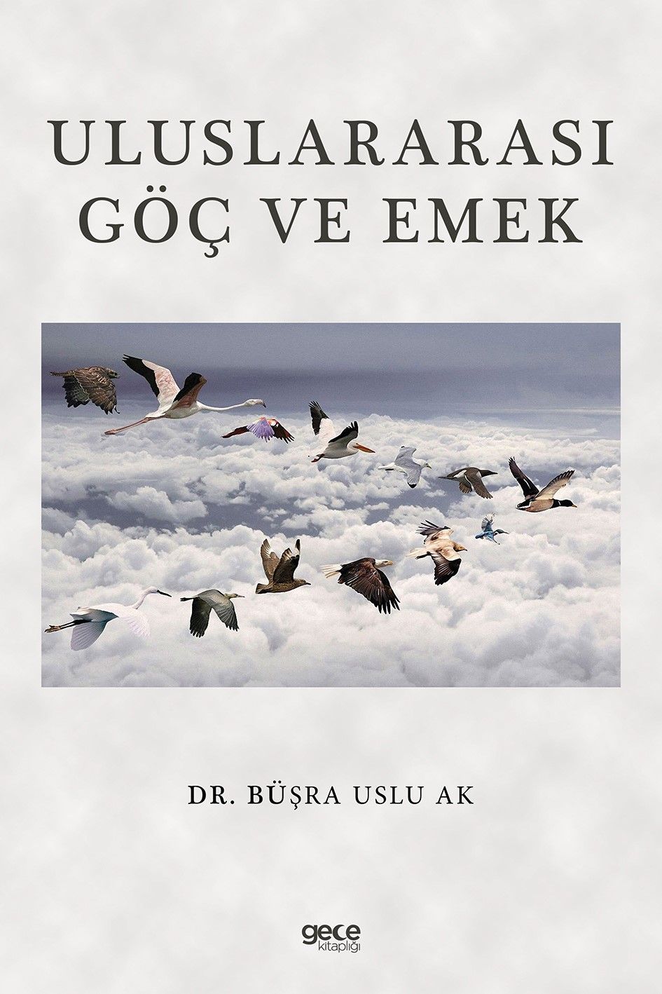 Uluslararası Göç ve Emek kitap kapağı