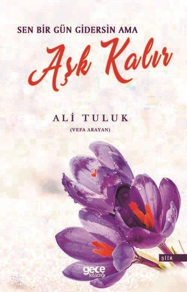 Sen Bir Gün Gidersin Ama Aşk Kalır kitap kapağı