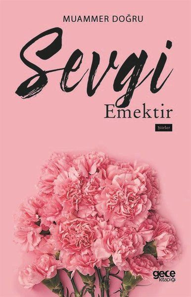 Sevgi Emektir kitap kapağı