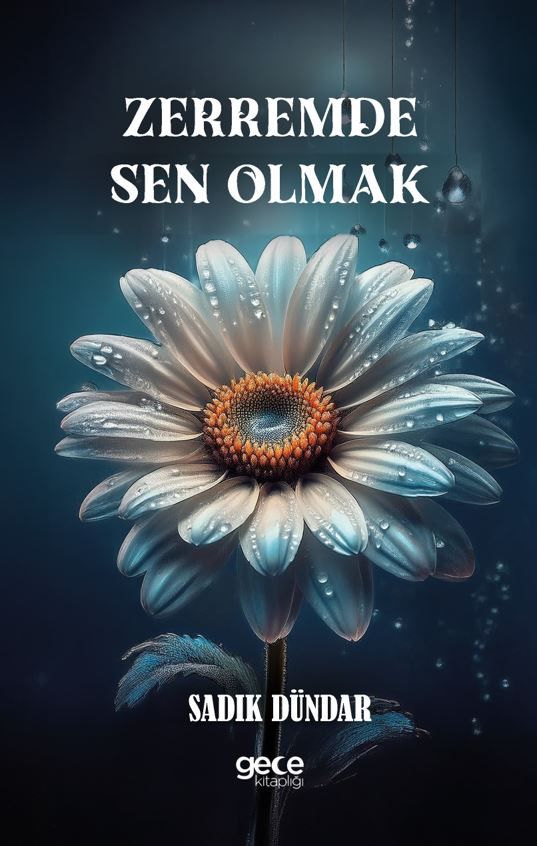 Zerremde Sen Olmak kitap kapağı