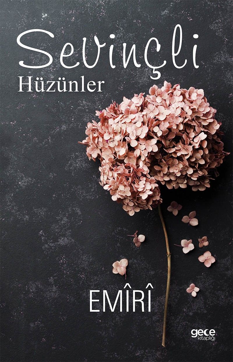 Sevinçli Hüzünler kitap kapağı