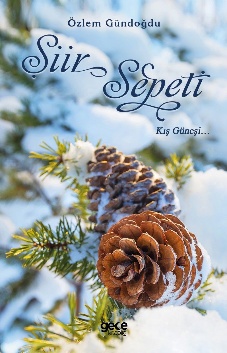 Şiir Sepeti kitap kapağı