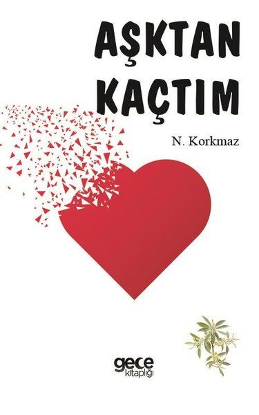 Aşktan Kaçtım kitap kapağı