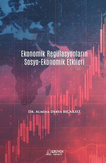 Ekonomik Regülasyonların Sosyo-Ekonomik Etkileri kitap kapağı