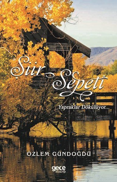 Şiir Sepeti 3 kitap kapağı