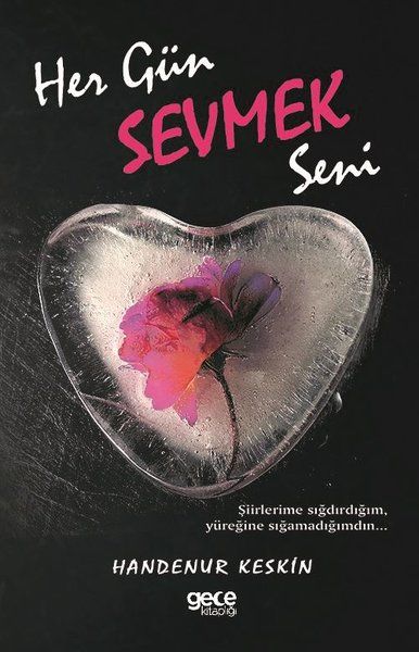 Her Gün Sevmek Seni kitap kapağı