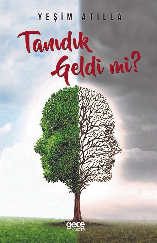 Tanıdık Geldi mi? kitap kapağı
