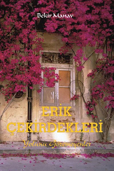 Erik Çekirdekleri kitap kapağı