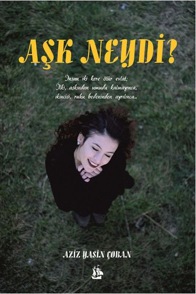 Aşk Neydi? kitap kapağı