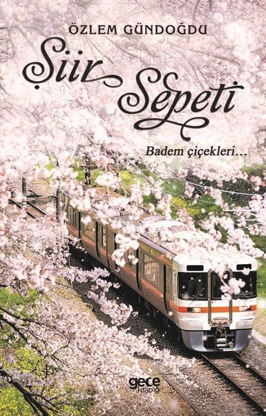 Şiir Sepeti 2 kitap kapağı