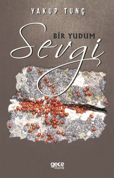 Bir Yudum Sevgi kitap kapağı