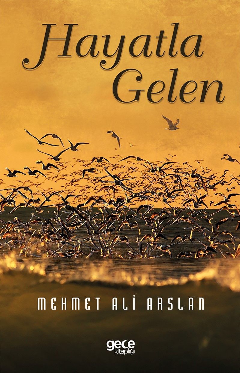 Hayatla Gelen kitap kapağı