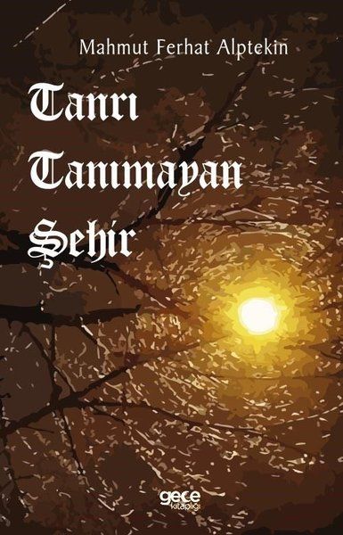 Tanrı Tanımayan Şehir kitap kapağı