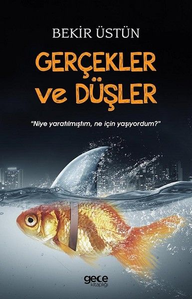 Gerçekler ve Düşler kitap kapağı