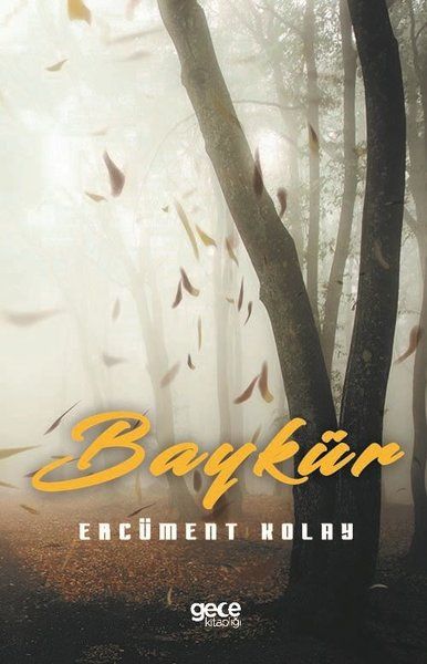 Baykür kitap kapağı