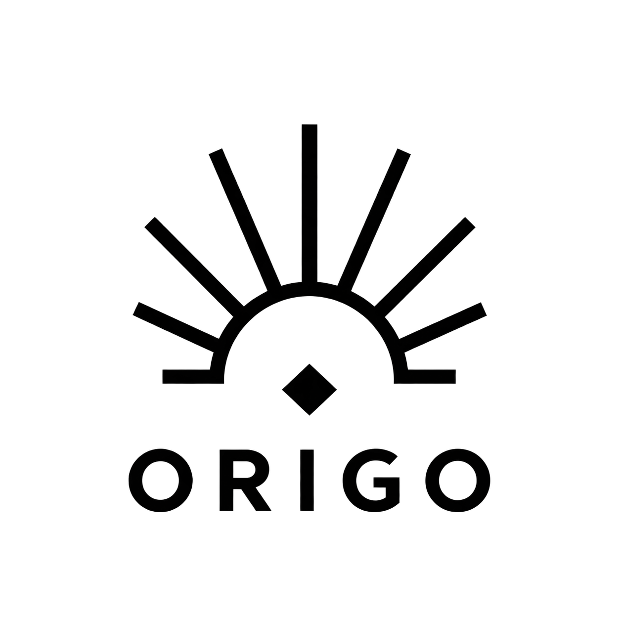 Origo Yayınevi